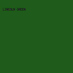 1E5B19 - Lincoln Green color image preview