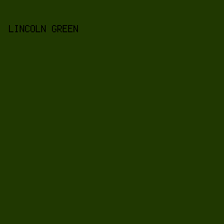 203801 - Lincoln Green color image preview