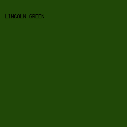 204807 - Lincoln Green color image preview