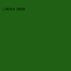 206014 - Lincoln Green color image preview