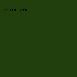 213f0c - Lincoln Green color image preview