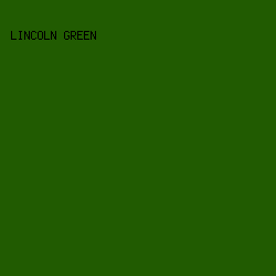 215b01 - Lincoln Green color image preview