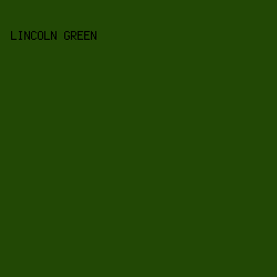 224805 - Lincoln Green color image preview