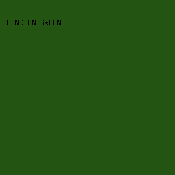 235412 - Lincoln Green color image preview