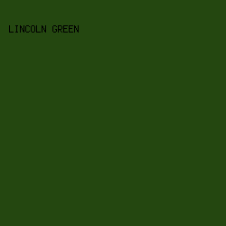 244710 - Lincoln Green color image preview