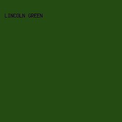 244b11 - Lincoln Green color image preview