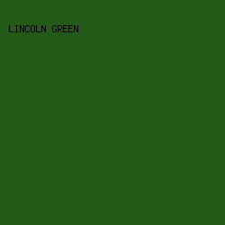 245a18 - Lincoln Green color image preview