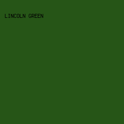 265517 - Lincoln Green color image preview
