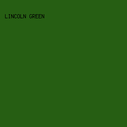 265E13 - Lincoln Green color image preview