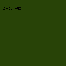284307 - Lincoln Green color image preview