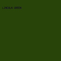 284409 - Lincoln Green color image preview