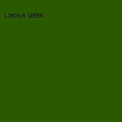 2A5900 - Lincoln Green color image preview
