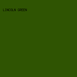 2F5402 - Lincoln Green color image preview