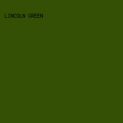 335005 - Lincoln Green color image preview