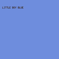 6E8DDD - Little Boy Blue color image preview