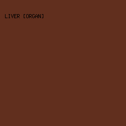 612F1E - Liver [Organ] color image preview