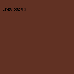 613123 - Liver [Organ] color image preview