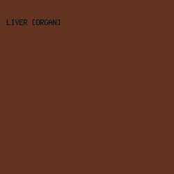 623321 - Liver [Organ] color image preview