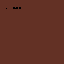 633125 - Liver [Organ] color image preview