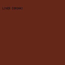642718 - Liver [Organ] color image preview