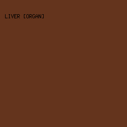 64341D - Liver [Organ] color image preview