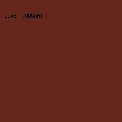 65261D - Liver [Organ] color image preview