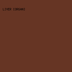 663524 - Liver [Organ] color image preview
