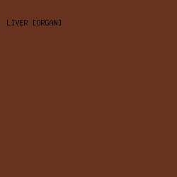 67331E - Liver [Organ] color image preview