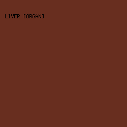682E1F - Liver [Organ] color image preview