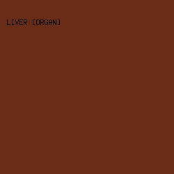 682c17 - Liver [Organ] color image preview