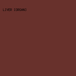 68312C - Liver [Organ] color image preview