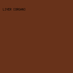 68321A - Liver [Organ] color image preview