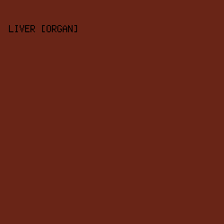 692517 - Liver [Organ] color image preview