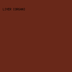 692819 - Liver [Organ] color image preview