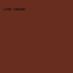 692D20 - Liver [Organ] color image preview