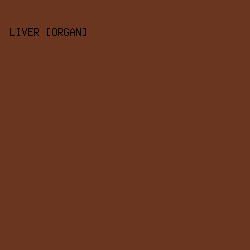 6A361F - Liver [Organ] color image preview