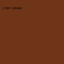 6E3518 - Liver [Organ] color image preview