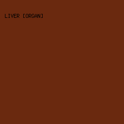 6a290f - Liver [Organ] color image preview
