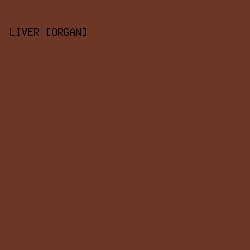 6c3724 - Liver [Organ] color image preview