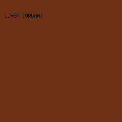 6f3116 - Liver [Organ] color image preview