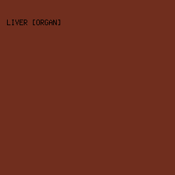702E1E - Liver [Organ] color image preview