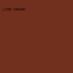 70301d - Liver [Organ] color image preview