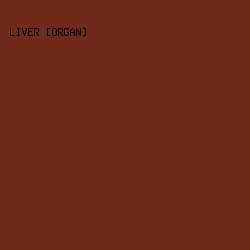 71291A - Liver [Organ] color image preview