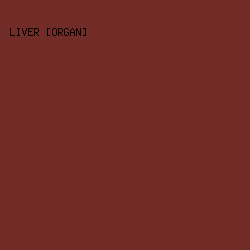 712c28 - Liver [Organ] color image preview
