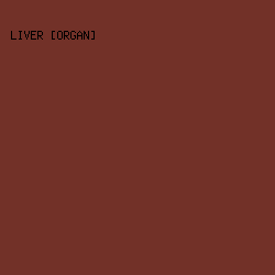 723128 - Liver [Organ] color image preview