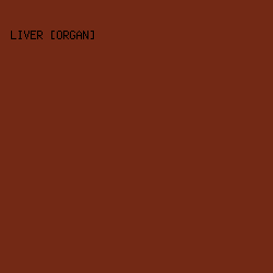 732915 - Liver [Organ] color image preview
