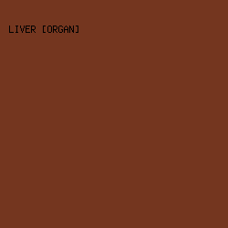 74361F - Liver [Organ] color image preview