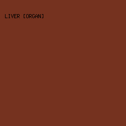75321f - Liver [Organ] color image preview