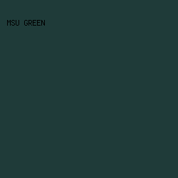 1F3B39 - MSU Green color image preview