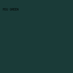 1a3b38 - MSU Green color image preview